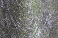 Brimaston fibreglass roof work